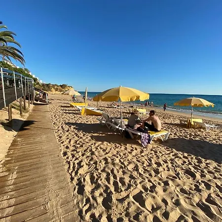 New Algarvegas Paradise