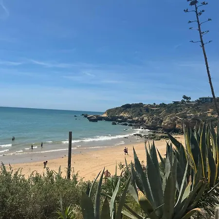 New Algarvegas Paradise *